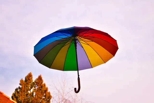 Modern Long-Handle Umbrella