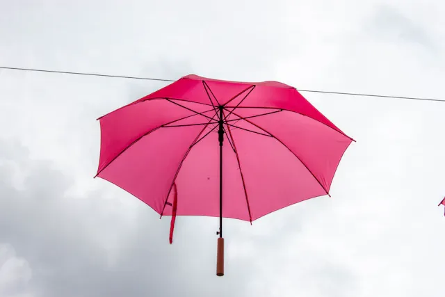 Garden Long-Handle Umbrella