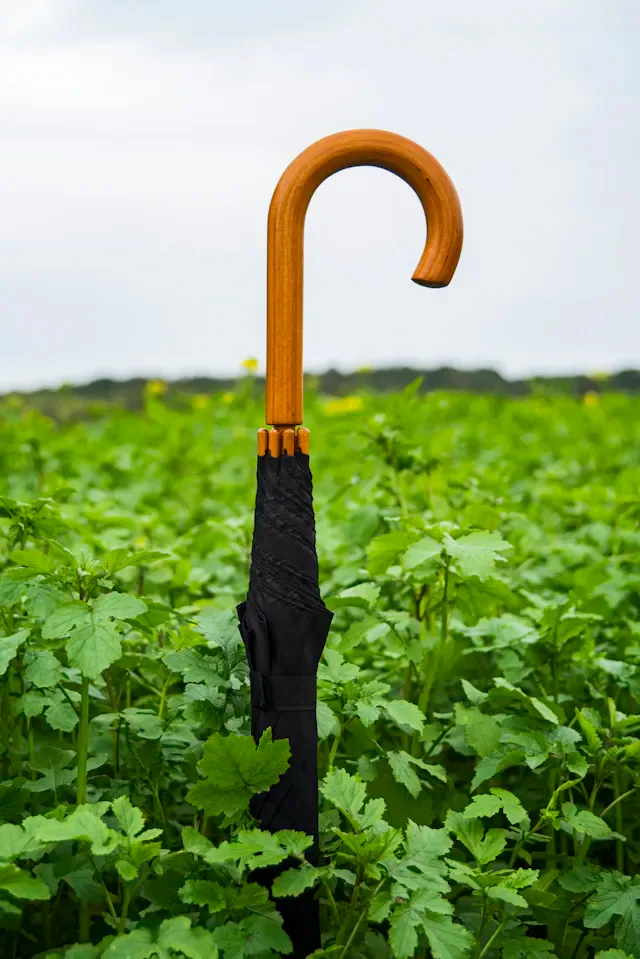 Comfort Long-Handle Umbrella