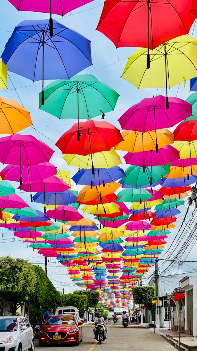Signature Compact Travel Umbrella