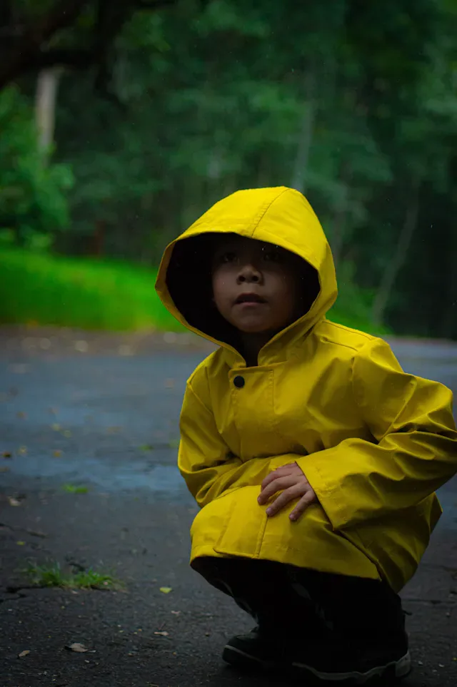 Modern Rain Accessory
