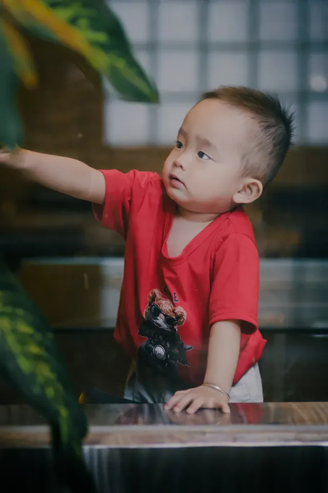 Elegant Baby T-Shirt